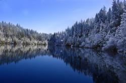 开云体育下载-意甲焦点战之夜，布伦森关键制胜，点燃绿茵传奇