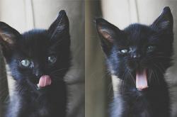 开云平台-武切维奇生涯之夜狂揽双20，巴特勒冷血一击助热火险擒骑士