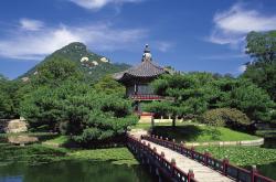 开云体育APP下载-足球双响炮，韩国力量淘汰里昂，格列兹曼主宰国家德比