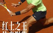 -关于西班牙网球队力克世界网球队，纳达尔制霸全场的信息