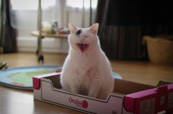 开云官网-克瓦拉茨赫利亚爆发，足球殿堂里，那条巴拉圭河流如何正面击溃了塞纳河畔的贵族