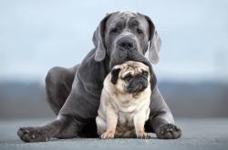 开云体育-跨越山海，从毕尔巴鄂的钢铁洪流到伊萨克的闪耀之夜