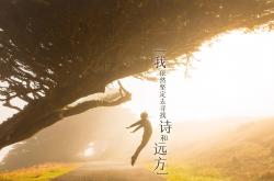 开云体育下载-绿茵战火，土耳其激战几内亚，基米希压力淬炼下的华丽绽放