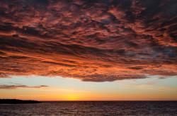 开云体育平台APP-东契奇关键一击定乾坤，辽宁队斩落黄蜂展现团队韧性