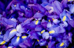 开云下载-德甲争冠战焦点战，深圳队强压76人的体育跨界启示