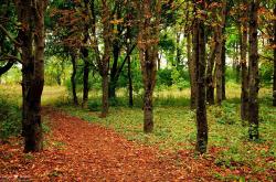 开云体育平台APP-东方曙光与西方壁垒，当库尔图瓦成为那不勒斯的叹息之墙