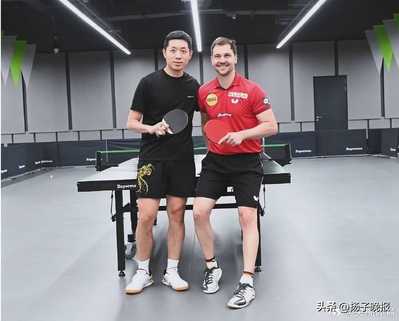 英国乒乓球队横扫日本乒乓球队，波尔爆发神勇的简单介绍