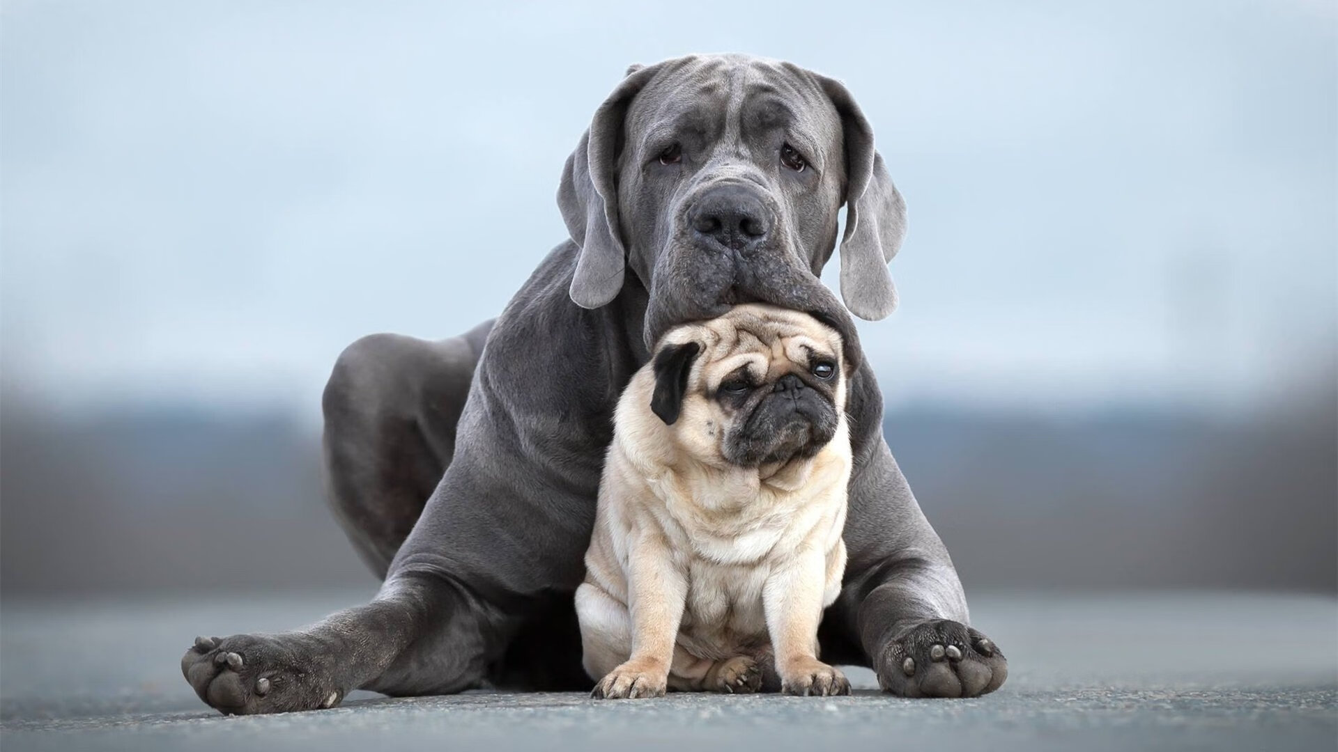 跨越山海，从毕尔巴鄂的钢铁洪流到伊萨克的闪耀之夜