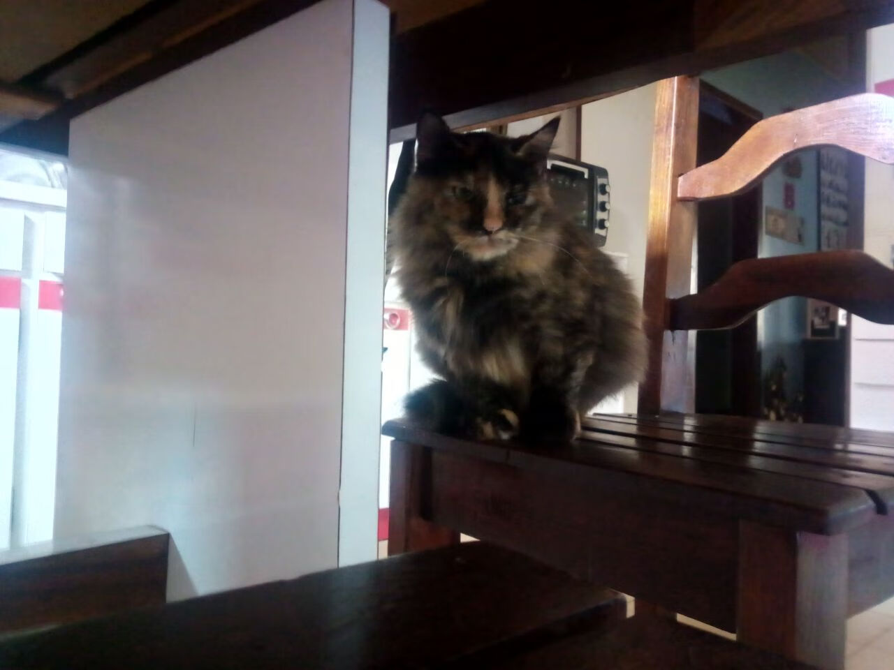 德甲争冠战焦点战与马德里竞技的沙特制霸，足球全球化的双线叙事