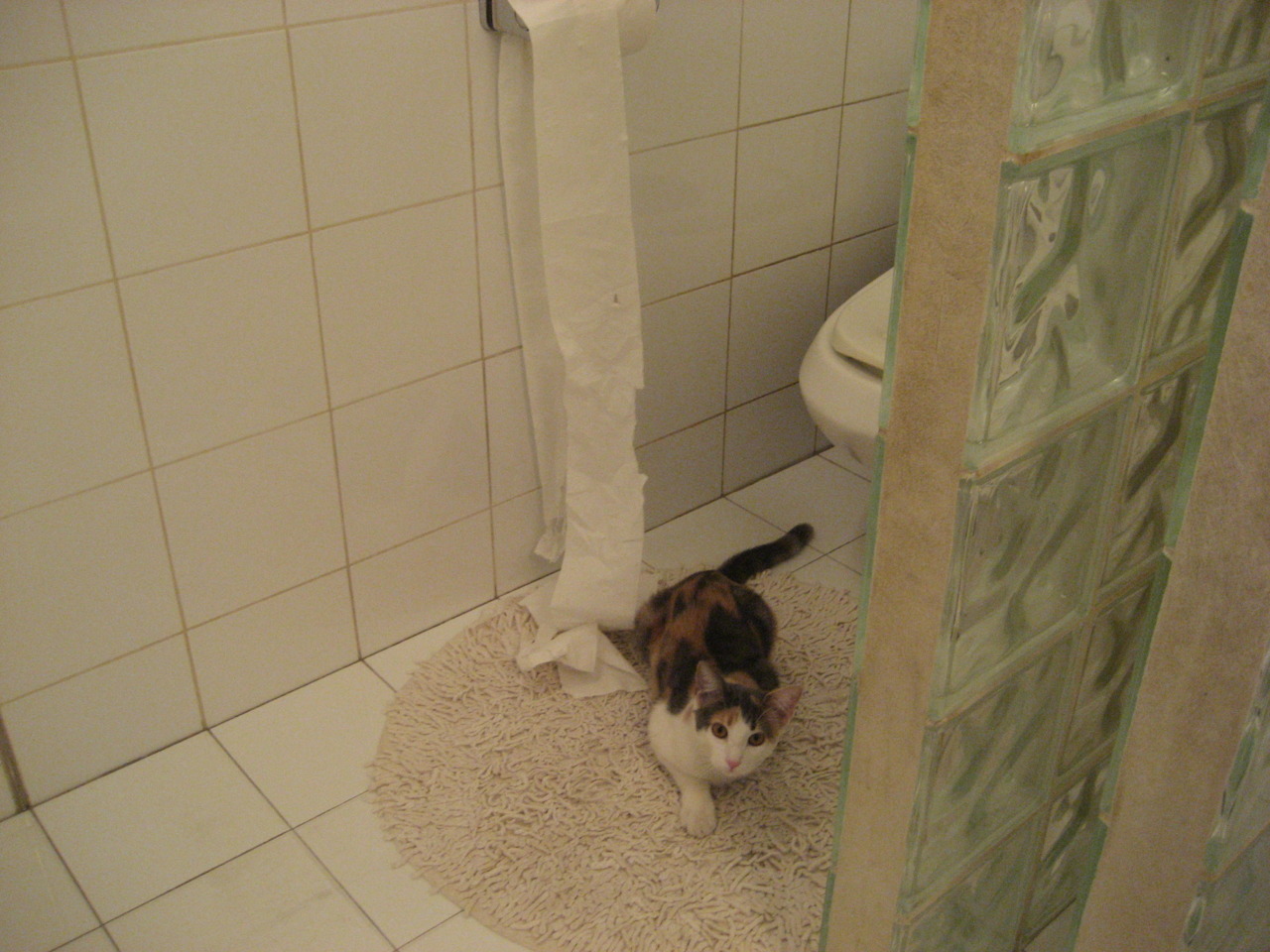 篮坛死神降临绿茵场，2026世界杯之夜，当东契奇成为无解的代名词