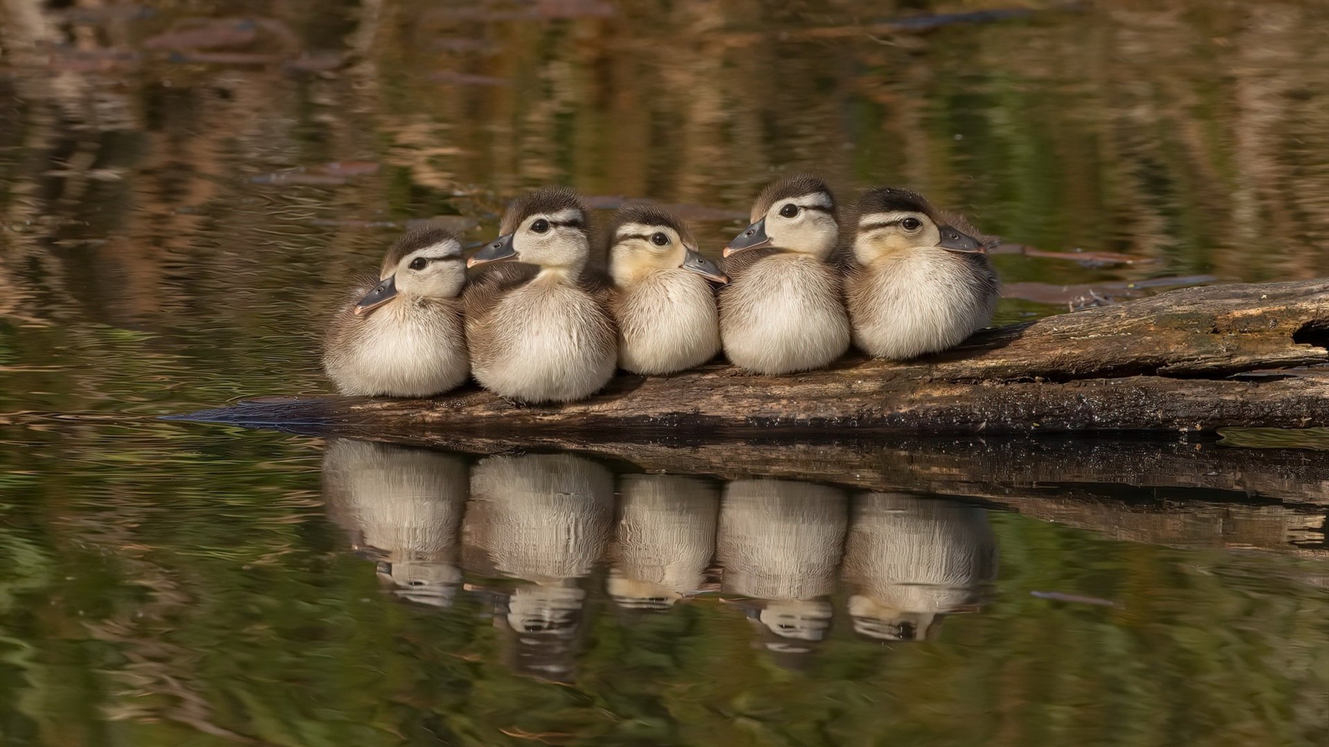 收割者德比,当绿茵场变成全球人才竞技场