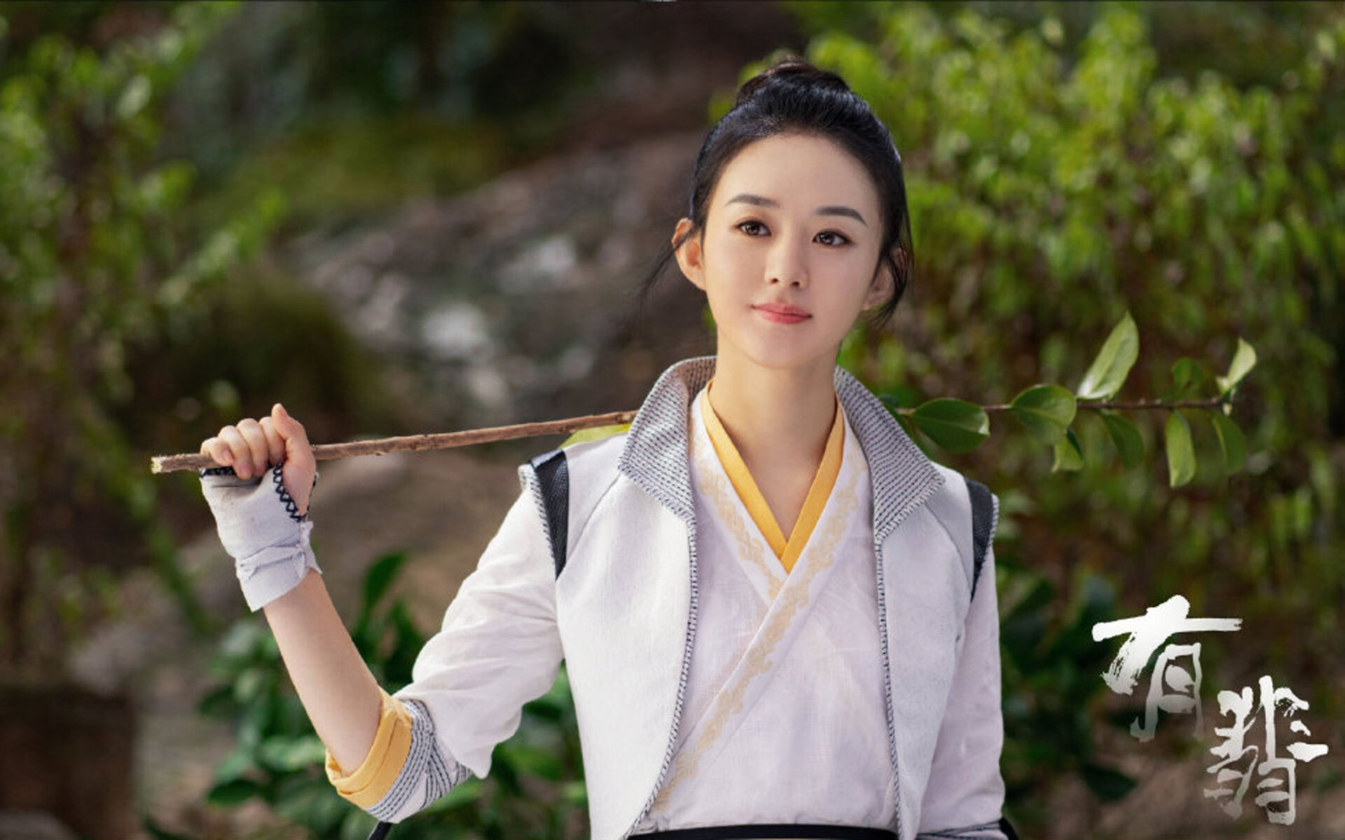 冰川与沙漠的较量，京多安的手术刀如何切碎塞内加尔的铁壁防线