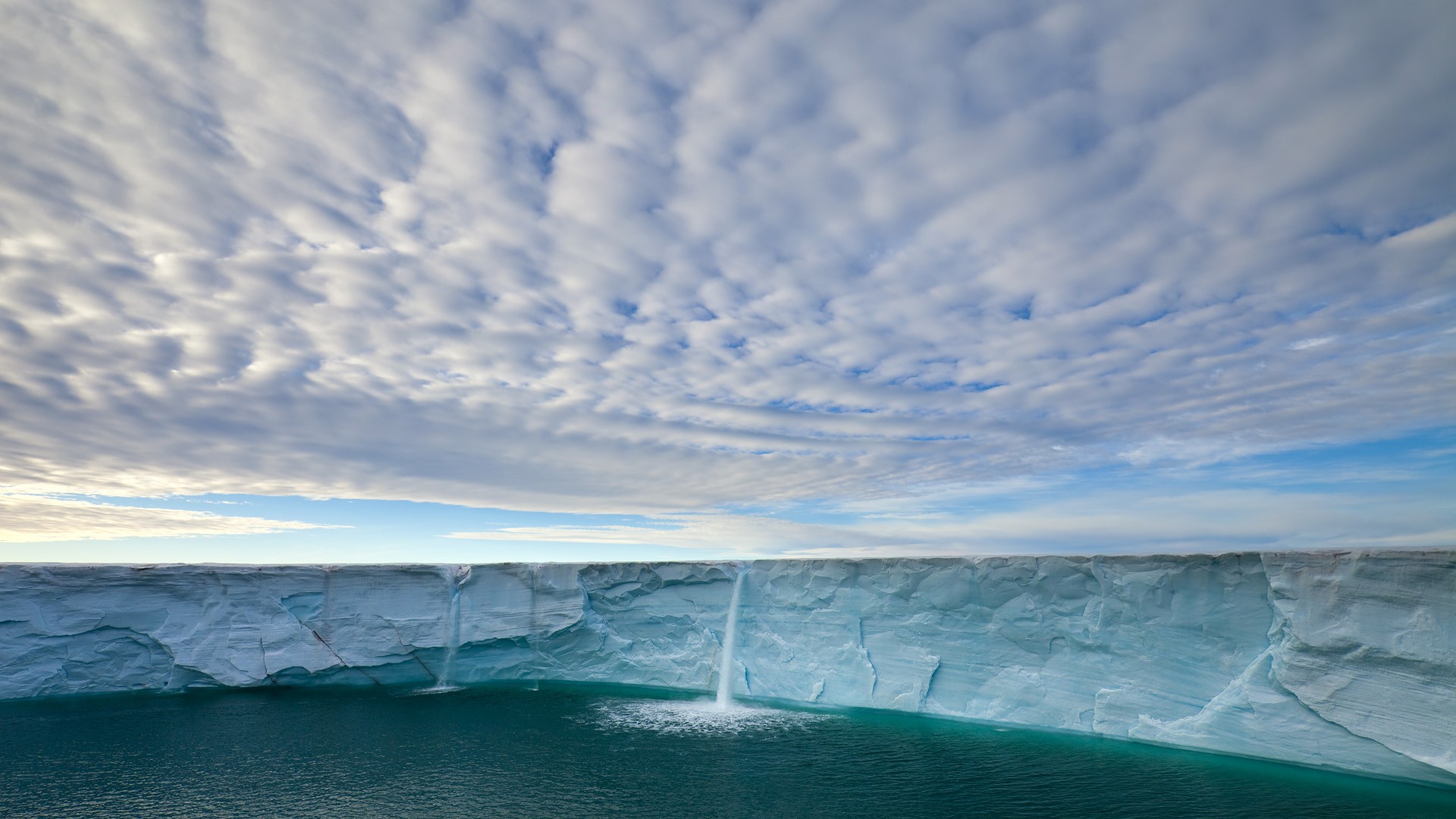 奇迹在加纳绽放，2026世界杯C组惊天逆转，魔笛致命一击定乾坤